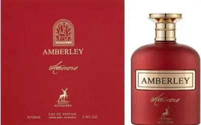 AMBERLEY AMOROSO